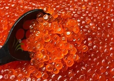    Россия начала производить красной икры почти в 3 раза больше, чёрной — на 3%