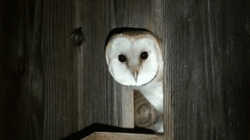 Берёте, да? Точно ?