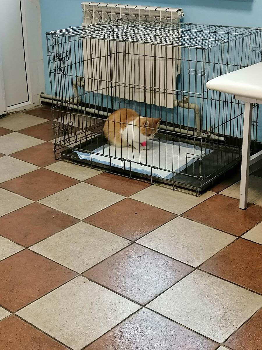 Перед операцией