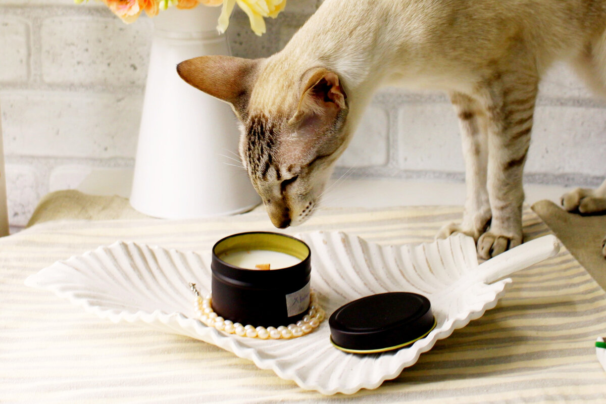 Контейнерные свечи из контейнерного воска. Фото автора Masteritaya