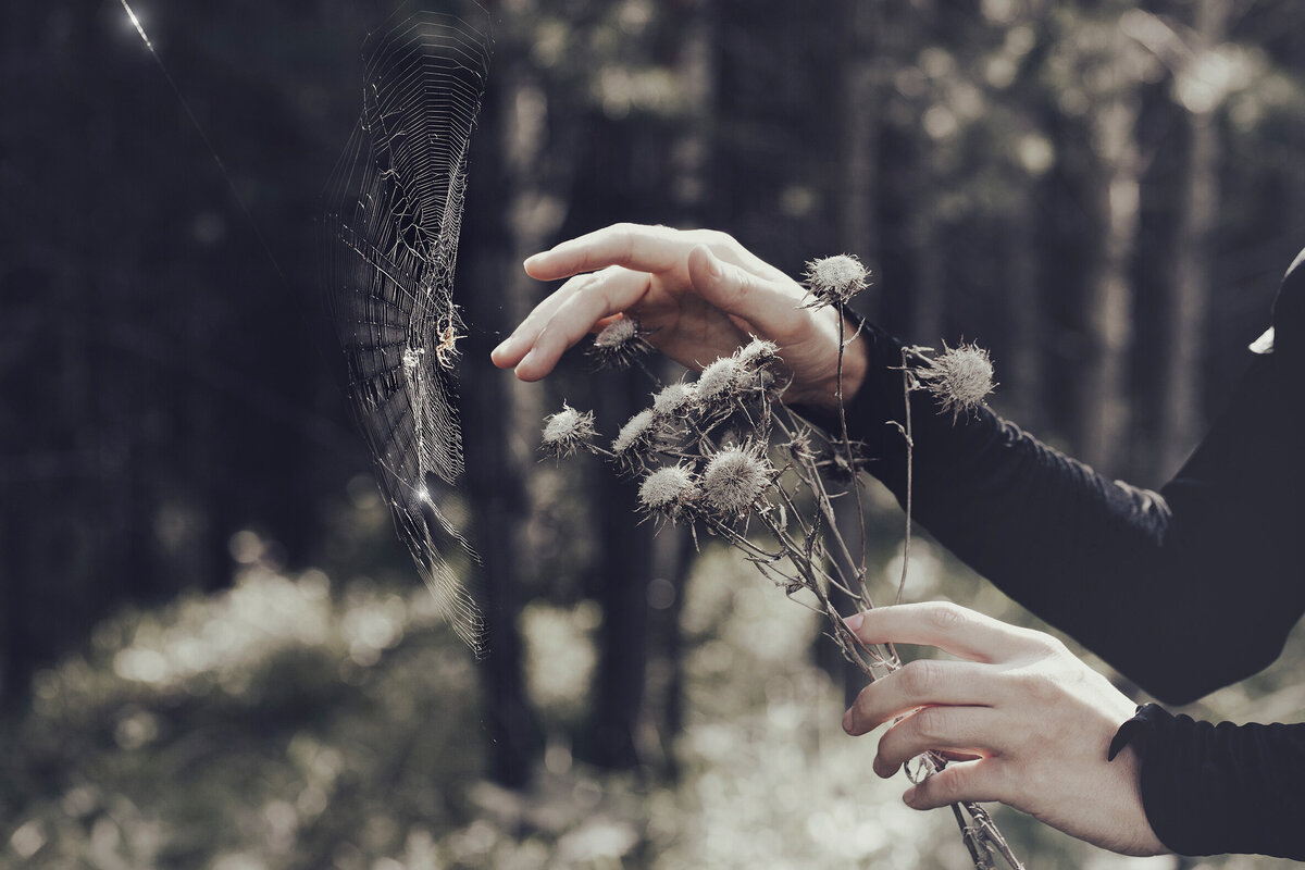     Конкурс страшных рассказов: "Яд", Екатерина Кокина