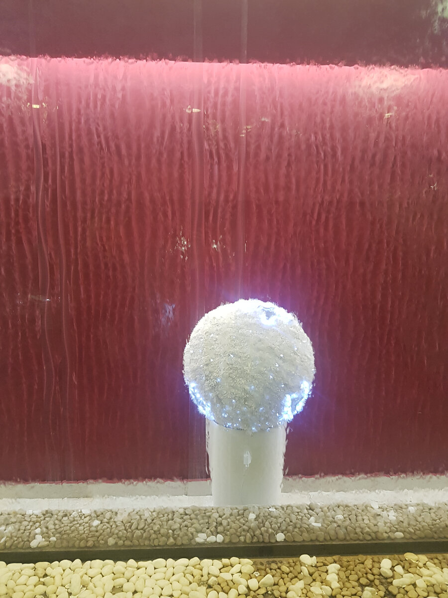 Необычное поведение