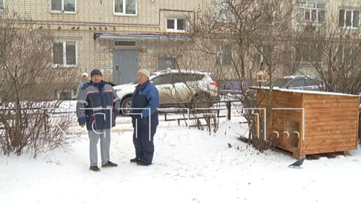 Скачать видео: На детской площадке в дворе многоквартирного дома построили незаконный приют для бездомных собак