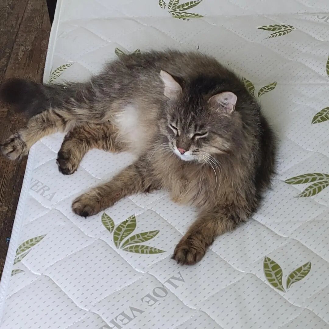 Ванечка