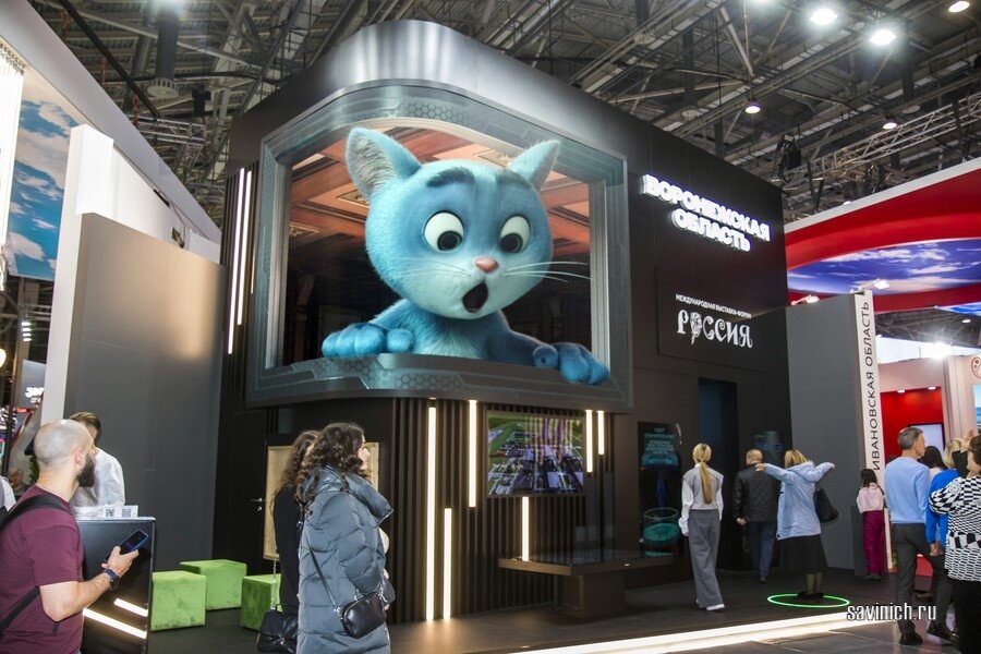 75 павильон ВДНХ на выставке "Россия". Воронежская обл.Фото Галины Савинич