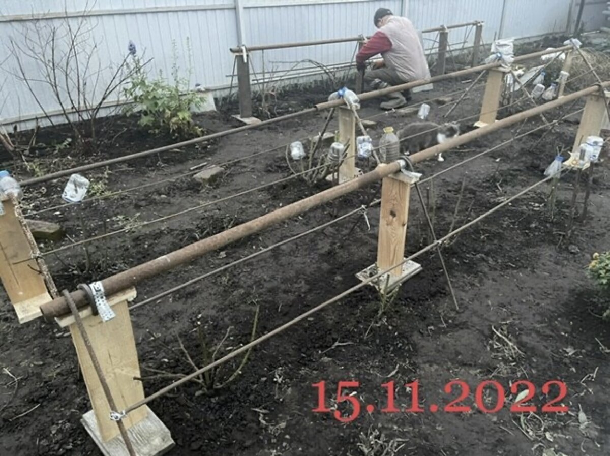 ИВАНЫЧ КРУТИТ КАРКАСЫ