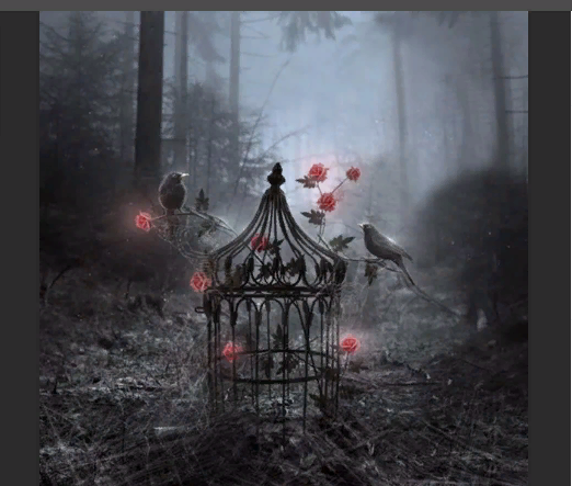 Фото взято из свободных источников. 