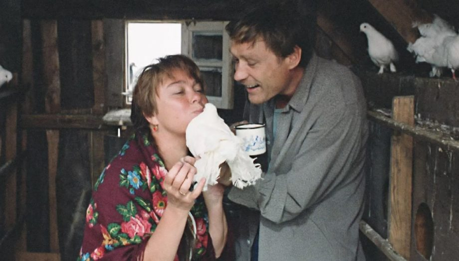 Х/ф «Любовь и голуби» / Мосфильм