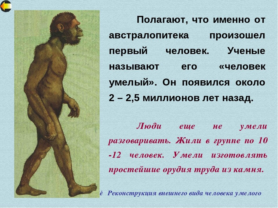 1 человек 5 7 5 6. Первые люди появились. Человек появился. Название первого человека. Человек появился на земле.