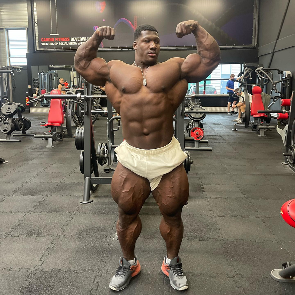 Flex Wheeler 2020