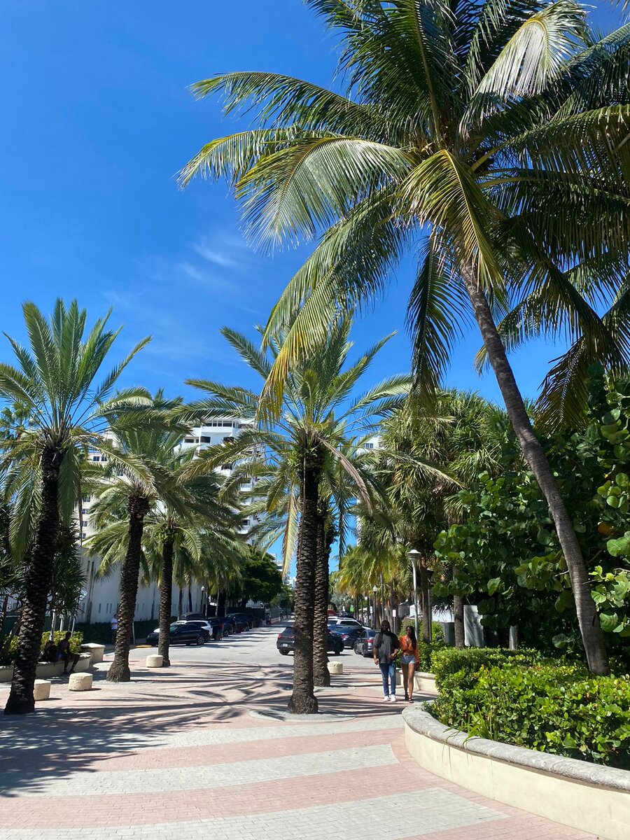 Чистые милые улицы Майами