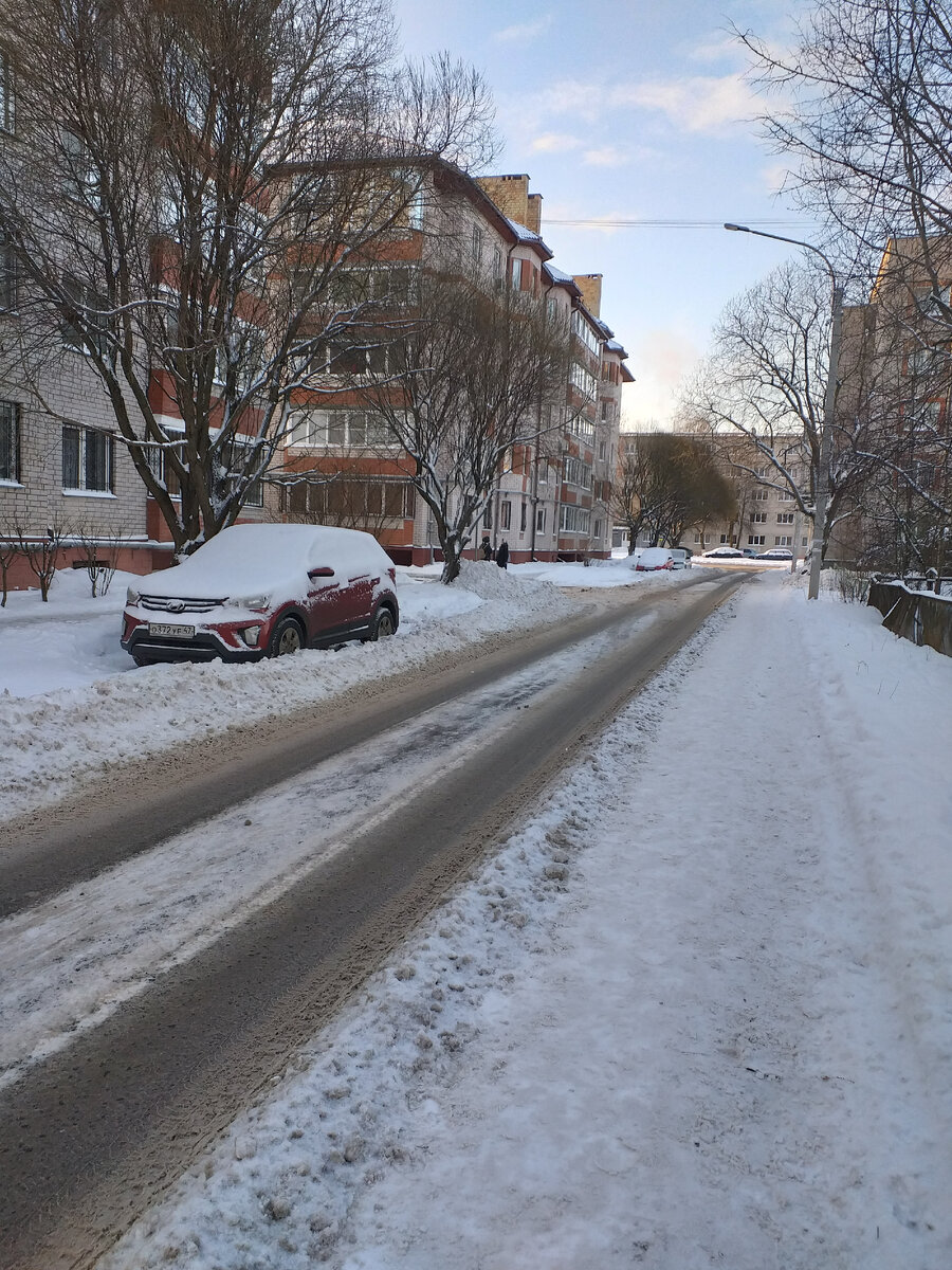 Железные кони вдоль дороги. К весне откопают.