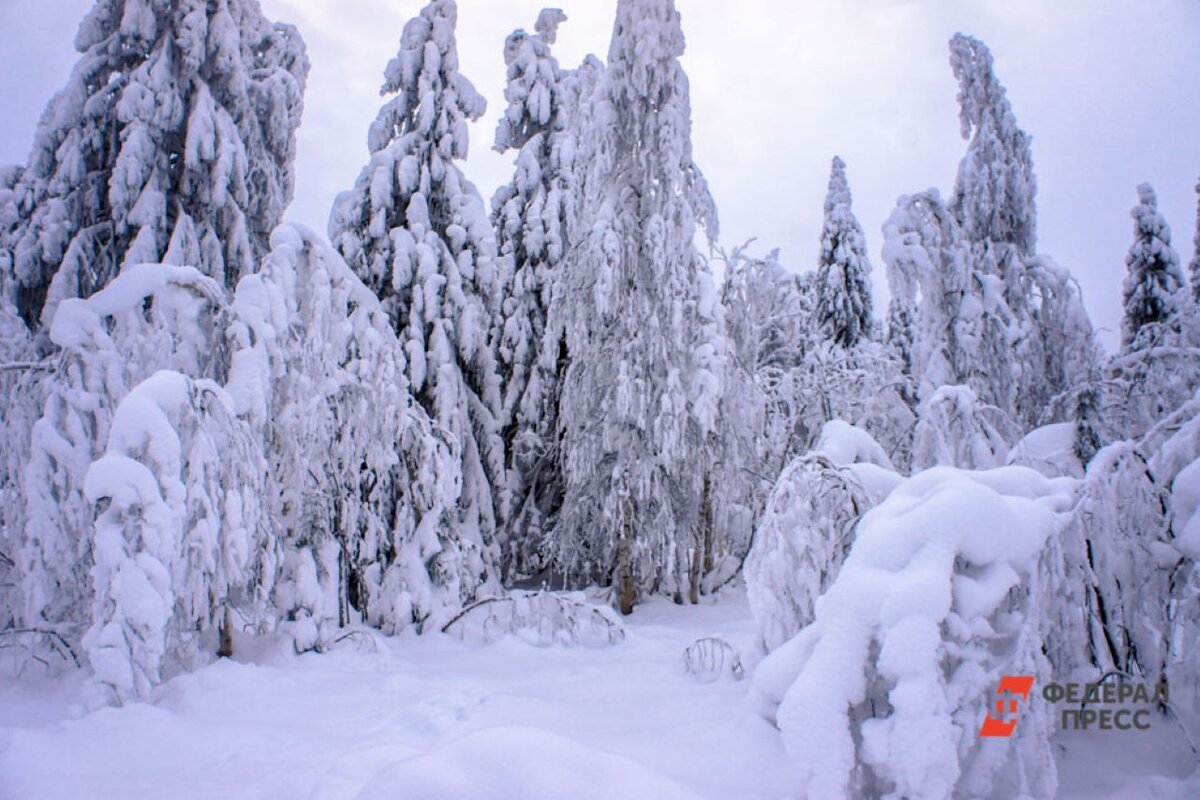 Морозы придут на большую часть страны.  Фото: Дмитрий Барков