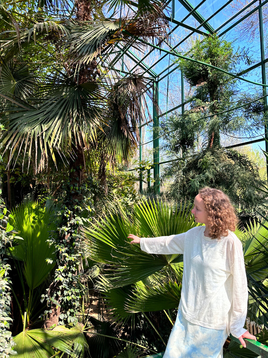 Главная оранжерея в бот саду Ташкента