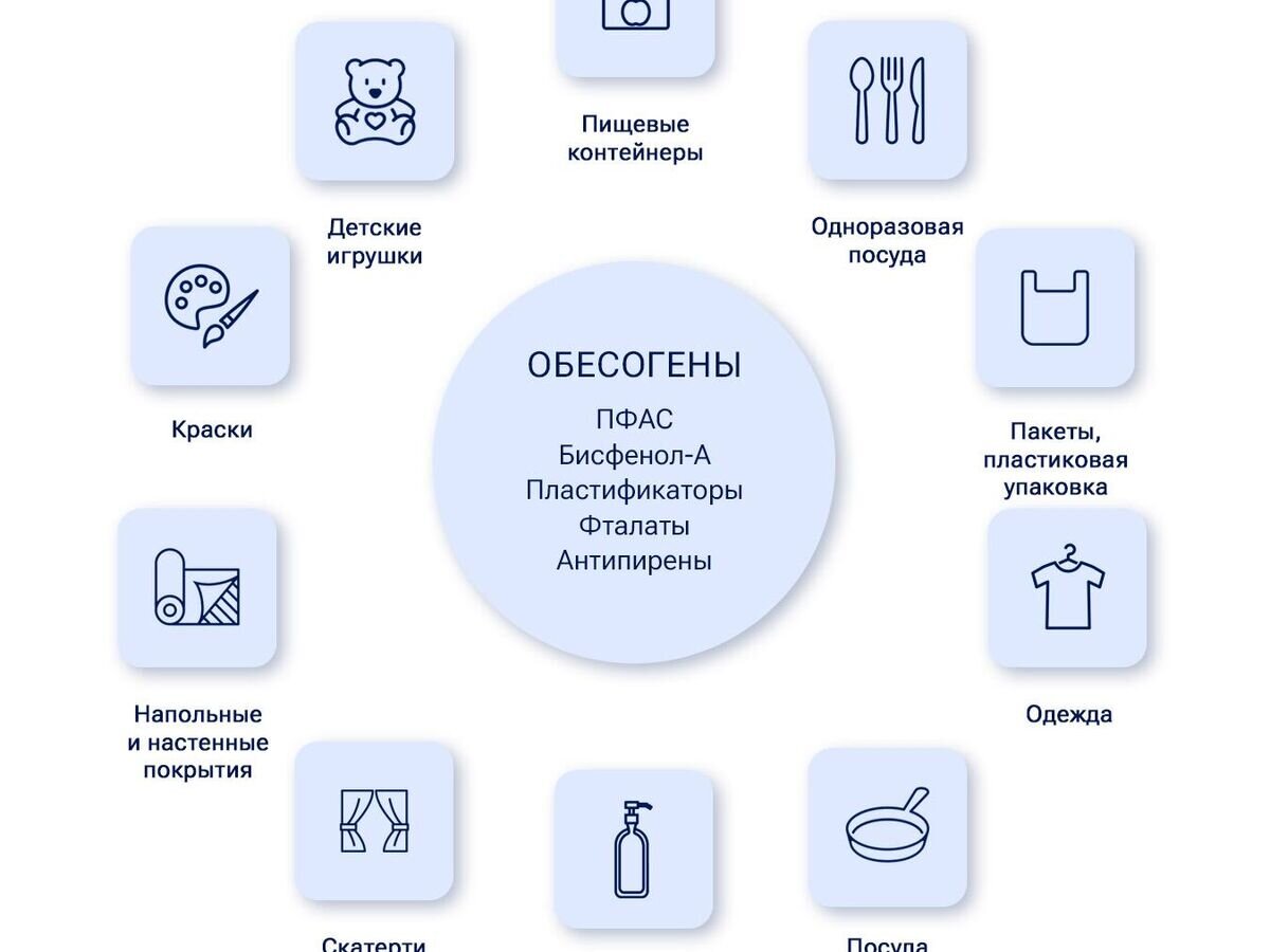    Предметы обихода, в которых содержатся обесогены© Инфографика