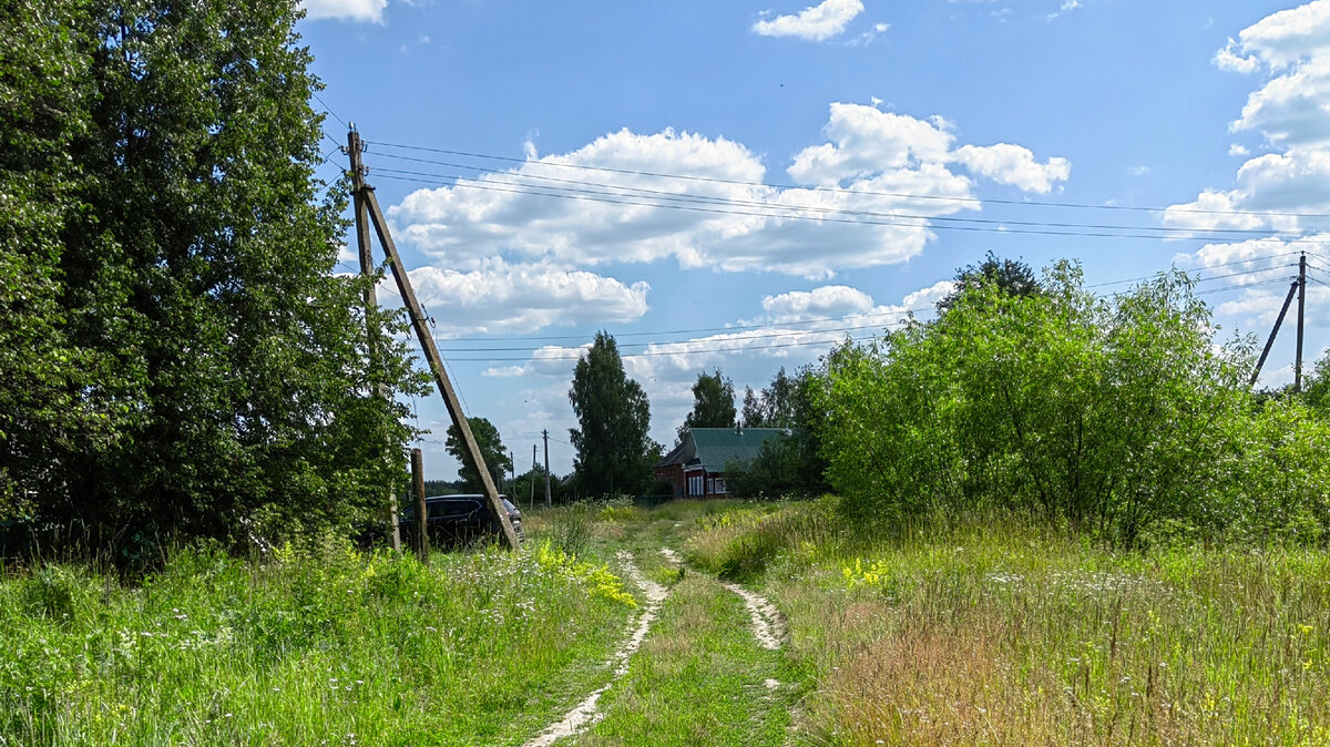 Деревня Немятово, Рязанская область, но Мещёра. Фото автора