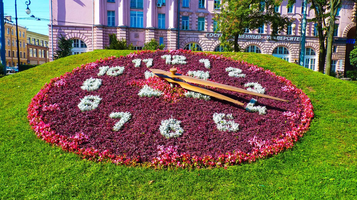 Дизайн городских клумб и цветников