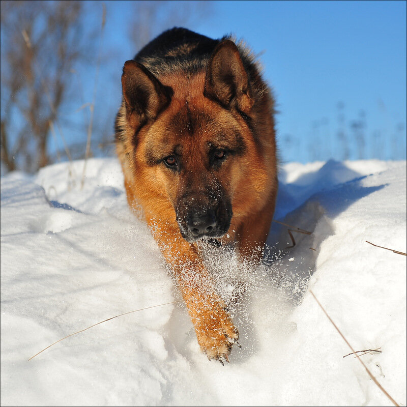 фото из интернета