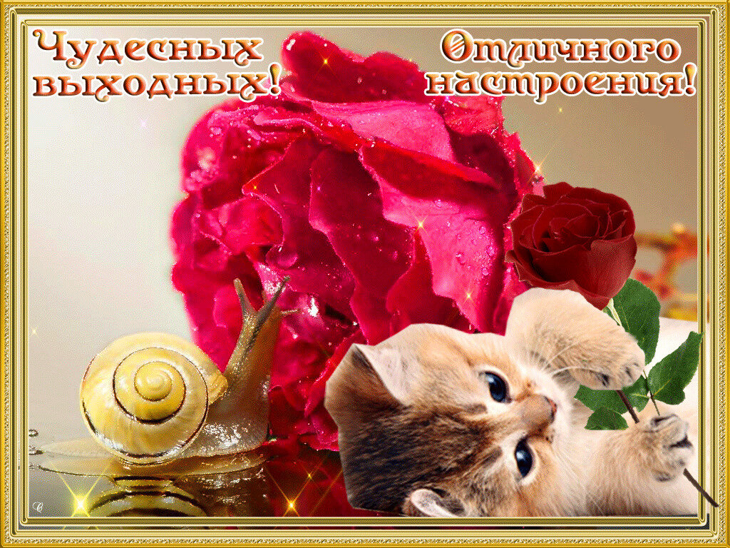 фото из интернета