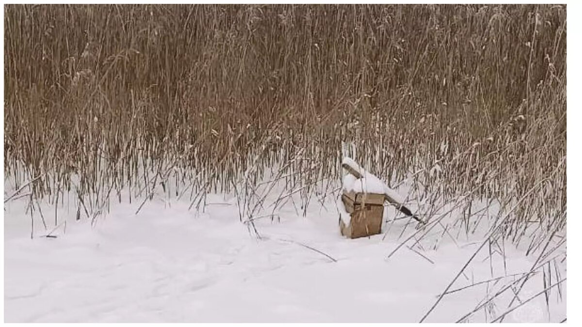    В Воткинске при патрулировании городского пруда спасатели обнаружили тело утонувшего рыбака. Об этом сообщила пресс-служба ГУ МЧС по региону.