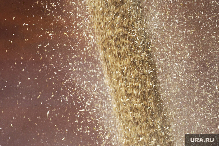    Лидером по поставкам зерна в ЕС стала Украина, следует из данных Евростата