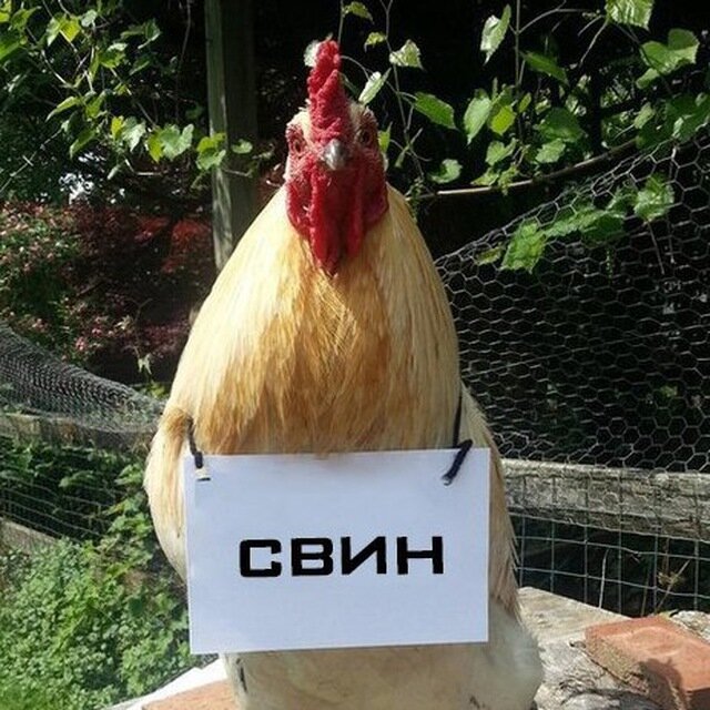 Картинка из открытых источников.