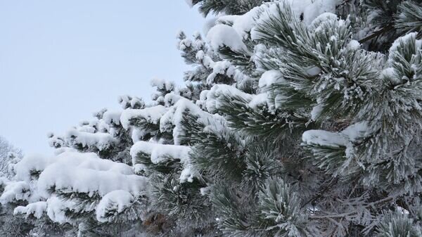    © Social media of Salantų regioninis parkas