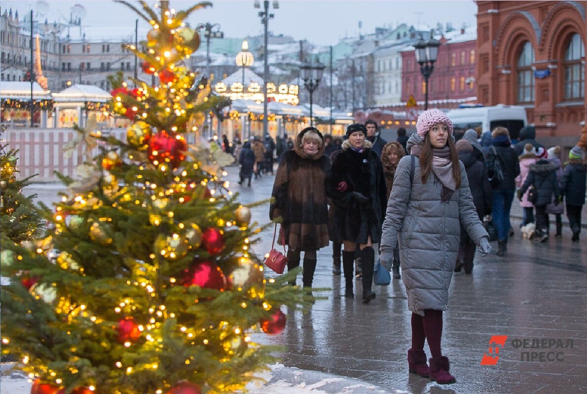 Средняя цена на сосну прогнозируется около 800 рублей.  Фото: ФедералПресс / Виктор Вытольский