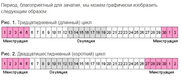Зачатие ребёнка после месячных рассчитать калькулятор. Месячные календарь овуляции. Калькулятор овуляции. Календарь овуляции. Как посчитать день цикла калькулятор.