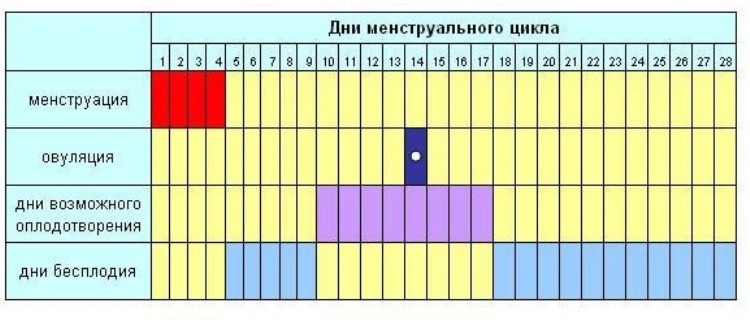 Можно ли доверять календарной контрацепции : 