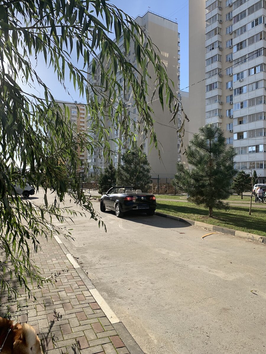 Кусочек моего ЖК «Восток», и по сравнению со многими другими муравейниками Краснодара дома в нем не кажутся такими уж муравейниками. Фото автора от 2 декабря 2023 года, на улице +18 🙂