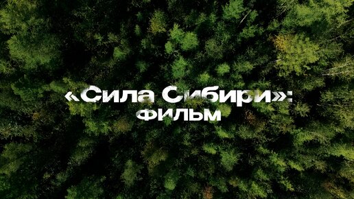 «Сила Сибири»: ФИЛЬМ