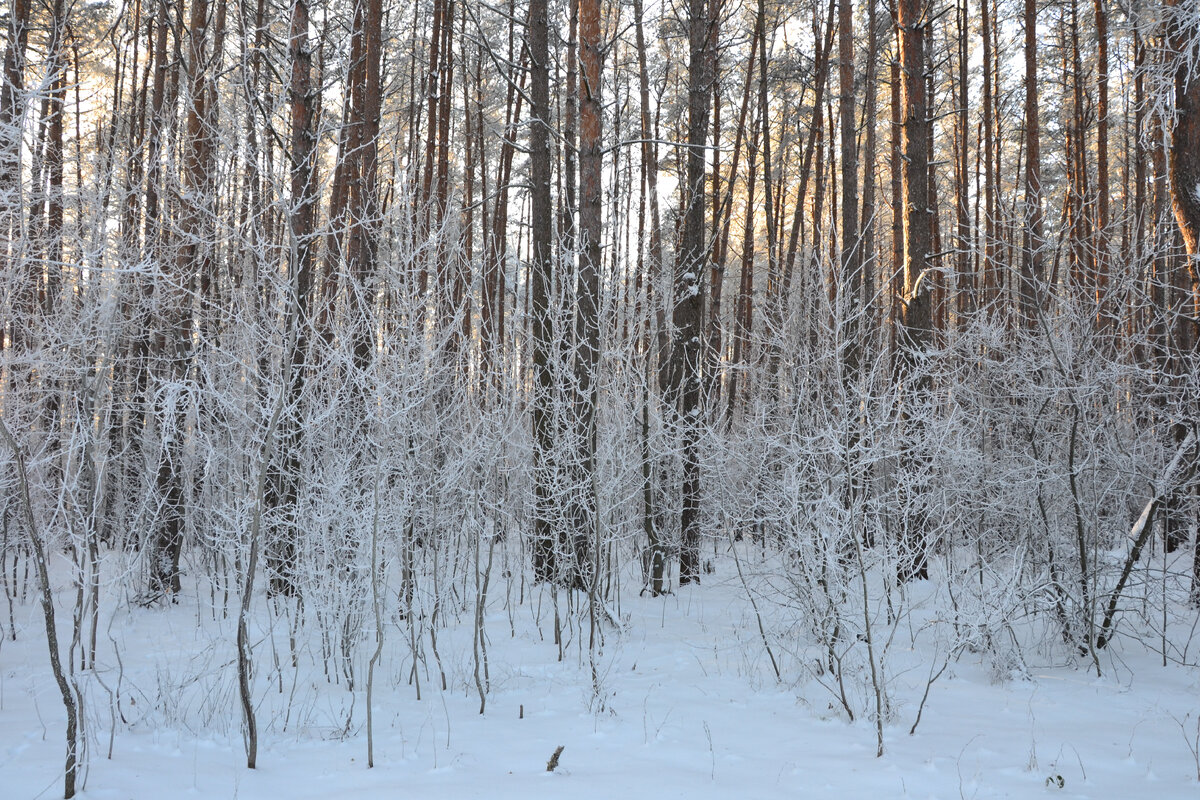 фото вадима ибрянова