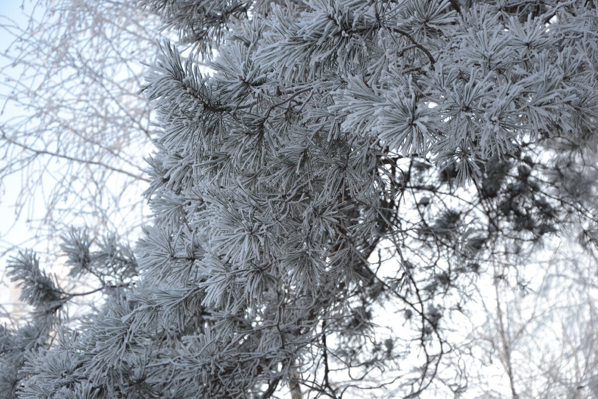 фото вадима ибрянова