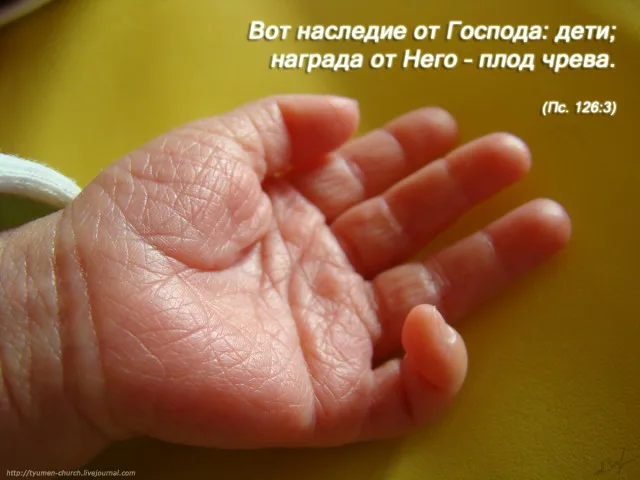 Картинка взята из общего и свободного доступа в интернет