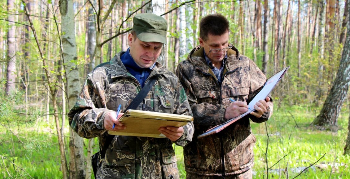    Фото из открытых источников