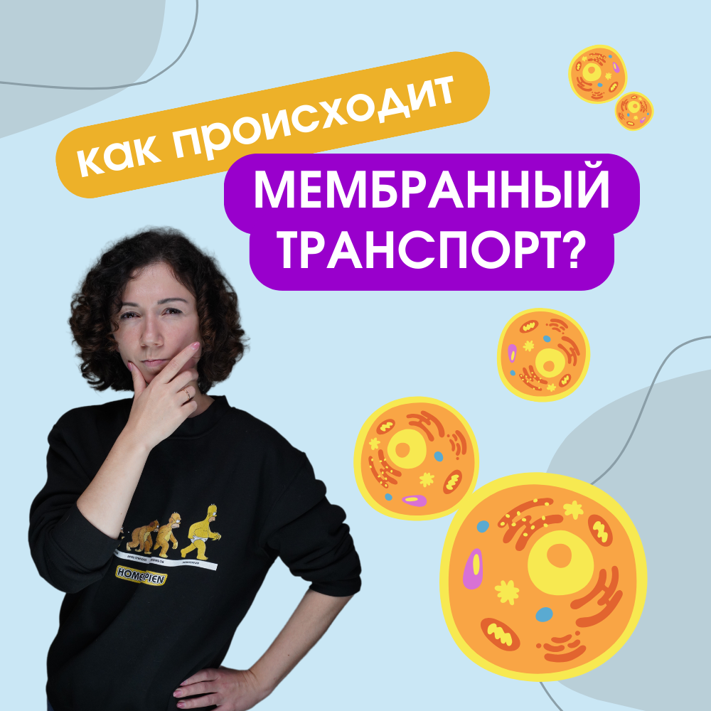Мембранный транспорт веществ в клетке