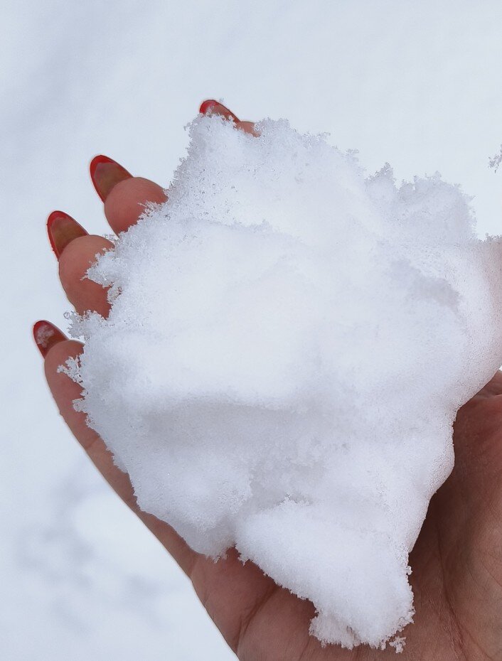 Фото автора. 