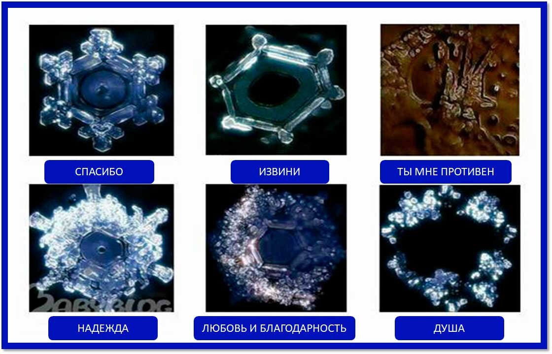 Память воды фото Наука будущего или эзотерика? Алена Первушина (Федоренко) Дзен