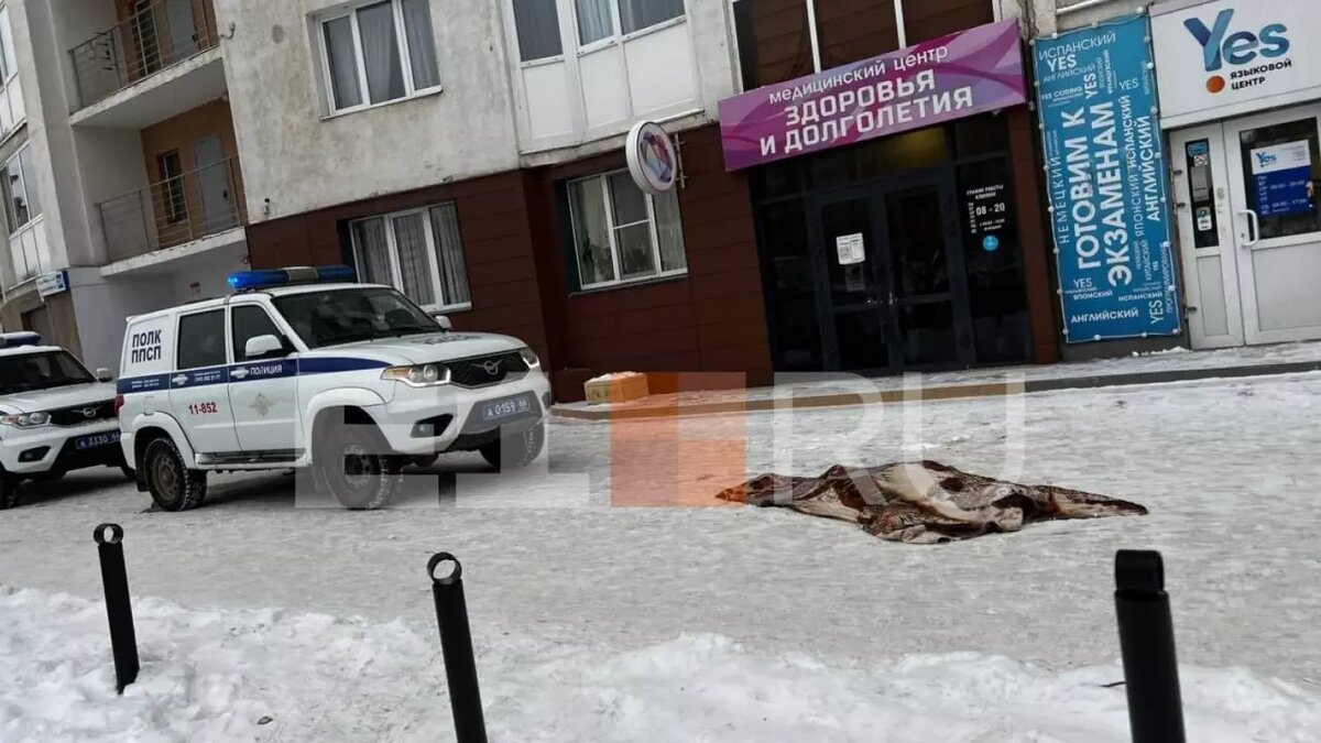 девушка со снежинками на окно | Дзен