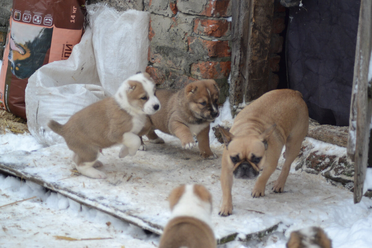 листаем вправо 