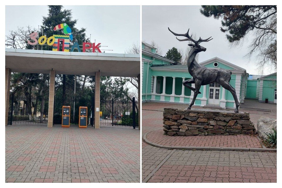    В ростовском зоопарке рассказали, как спасали животных в годы Великой Отечественной войны. Екатерина ПОПОВА