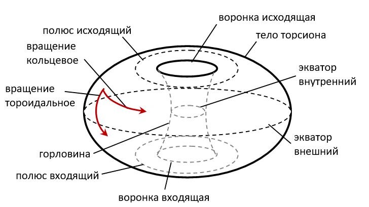 Рис. 1 – Элементы строения торсиона.