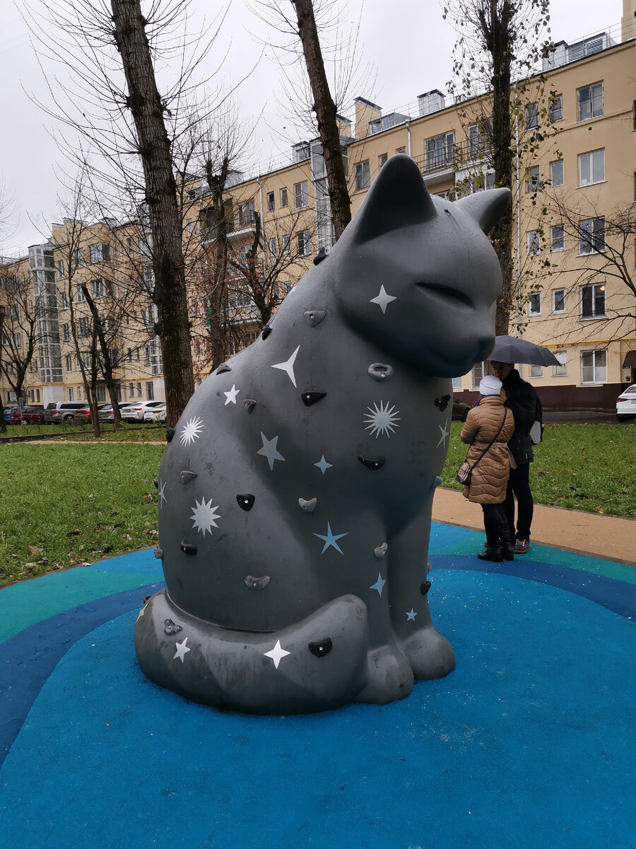 Скалодромный кот