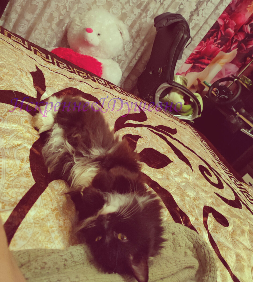 Чилит в рабочее время) фото автора 