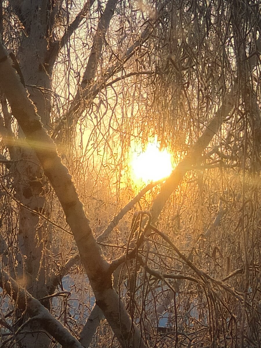 Морозное утро