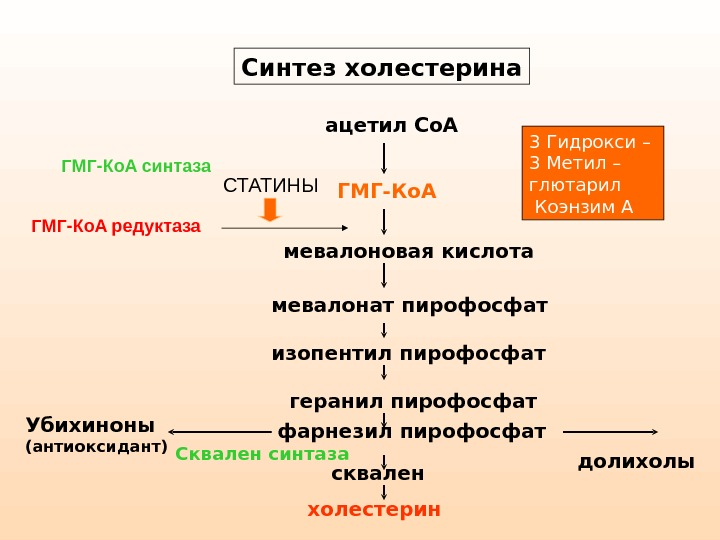 Синтез холестерина схема. Схема образования холестерина. Схема реакций синтеза холестерола. Синтез холестерина биохимия.