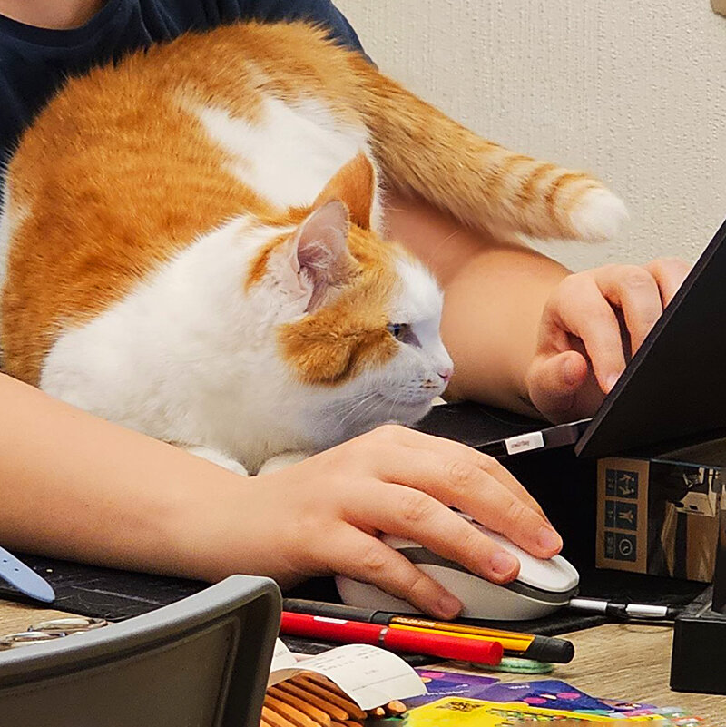 Смотри, что там по документам