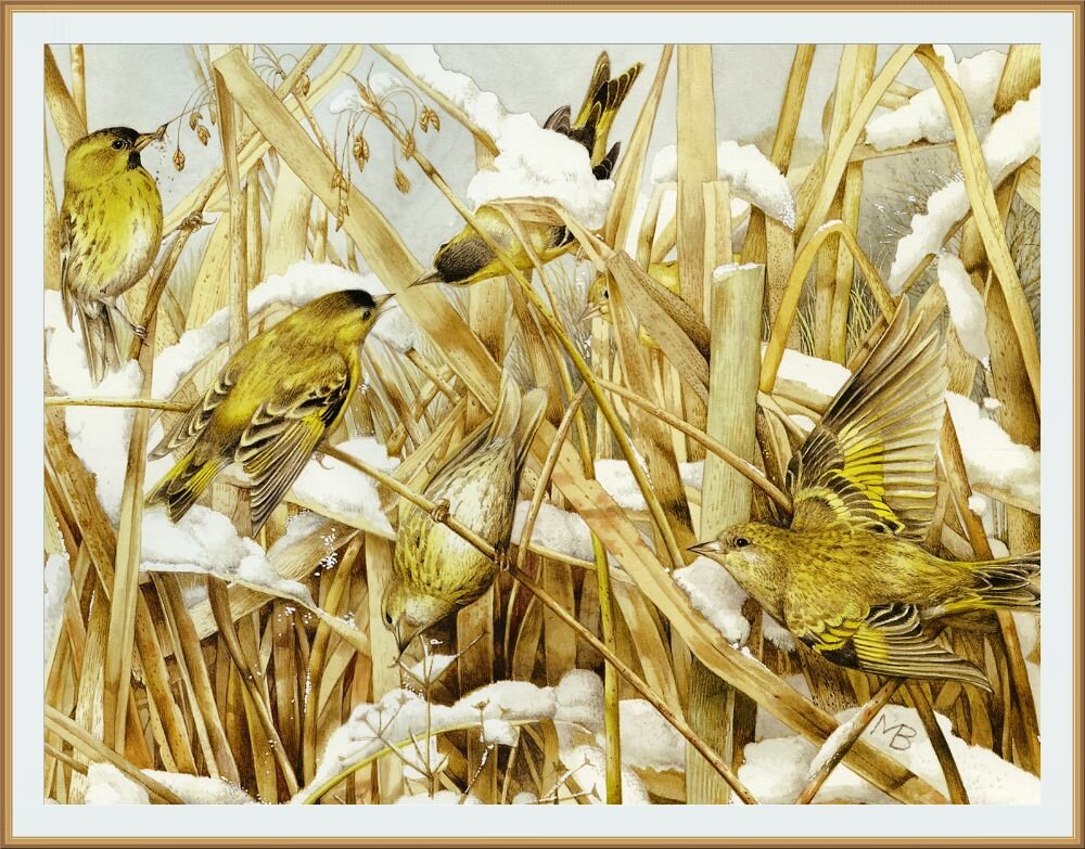 �������� ����������� ������� / Marjolein Bastin  " ����� �� ����� "