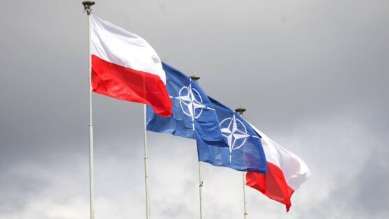    В Польше назвали сроки наращивания потенциала НАТО против РФ Татьяна Сидорова